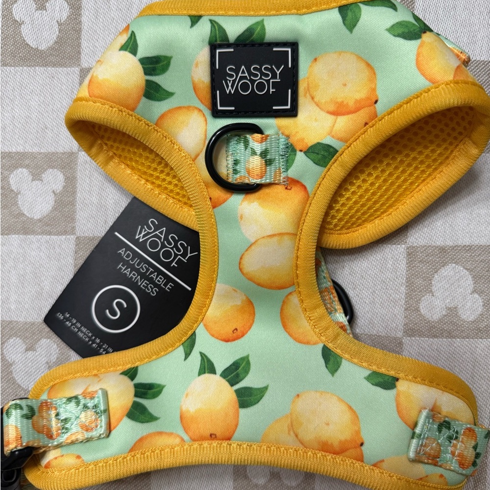 Sassy Woof Citrus Dog Harness